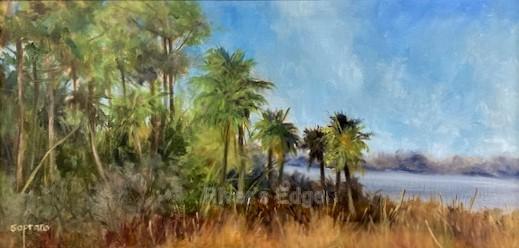 Rish Park San Blas by Judy Soprano