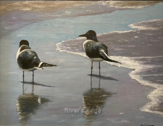 Beach Bandits by David Michael Salerno