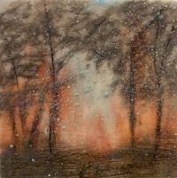 Fire In The Forest by Donna Frankland