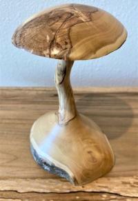 Mushroom Olive #22233 by Carl Turnage