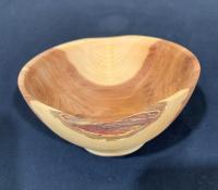 Eastern Red Cedar Bowl by Ricardo Fercovic