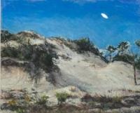 Dunes of St George by Barbara Ryan