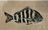 Convict Sheepshead $55 by Fred Fisher