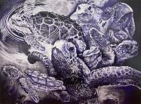 Loggerhead Sea Turtle Print $125 by Scott Forrider