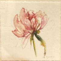 Peony II   2024-189 by Kelly Rysavy