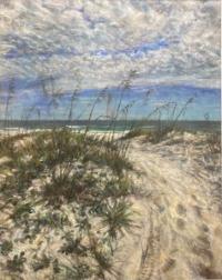 Dune Footpath by Barbara Ryan