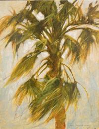 2024-117 Sabal Palm by Kelly Rysavy