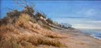 Cape San Blas Dune by Judy Soprano