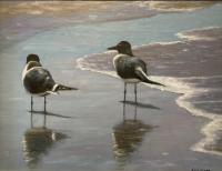 Beach Bandits by David Michael Salerno
