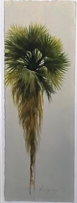 Washington Palm 2021-192 by Kelly Rysavy