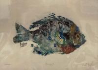Bluegill by Fred Fisher