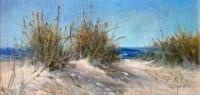 Sand Dunes on Mexico Beach by Judy Soprano