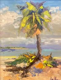 Solo Palm St Vincent by Lynne Fraser