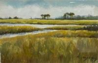 Marsh Study 234 B by Kelly Rysavy