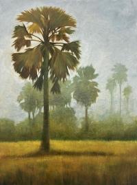 2023-44 Cabbage Palms by Kelly Rysavy