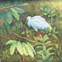 Ibis by Dorothy Starbuck
