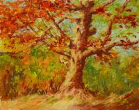 Fall  Oak by David Michael Salerno