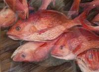 Red Snapper by Barbara Ryan